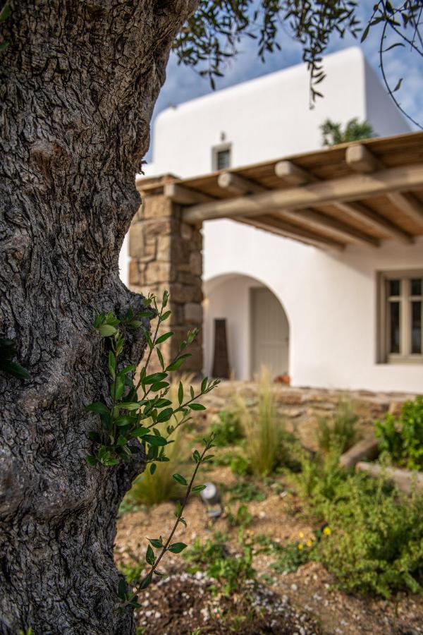 Mykonos Ag In Вилла *